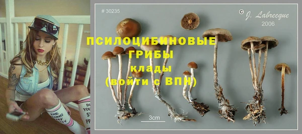 Альфа ПВП Инсар