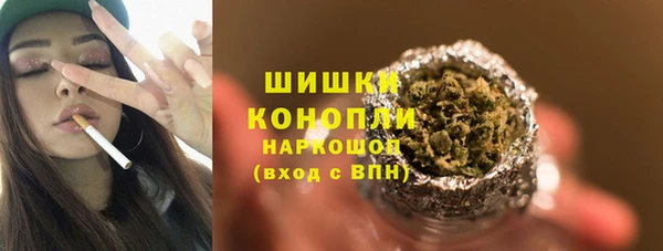 Альфа ПВП Инсар