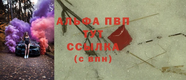Альфа ПВП Инсар