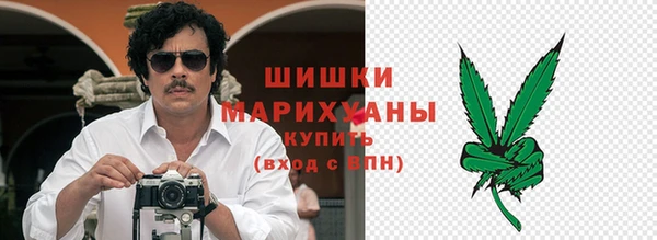 Альфа ПВП Инсар
